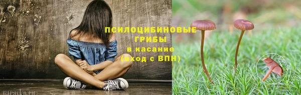 ПСИЛОЦИБИНОВЫЕ ГРИБЫ Баксан