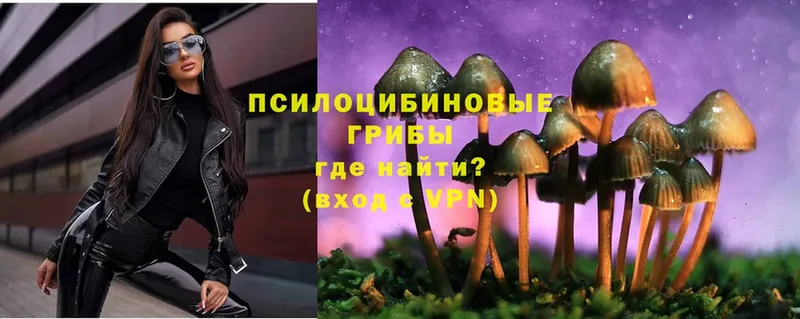 Галлюциногенные грибы MAGIC MUSHROOMS  хочу наркоту  Люберцы 